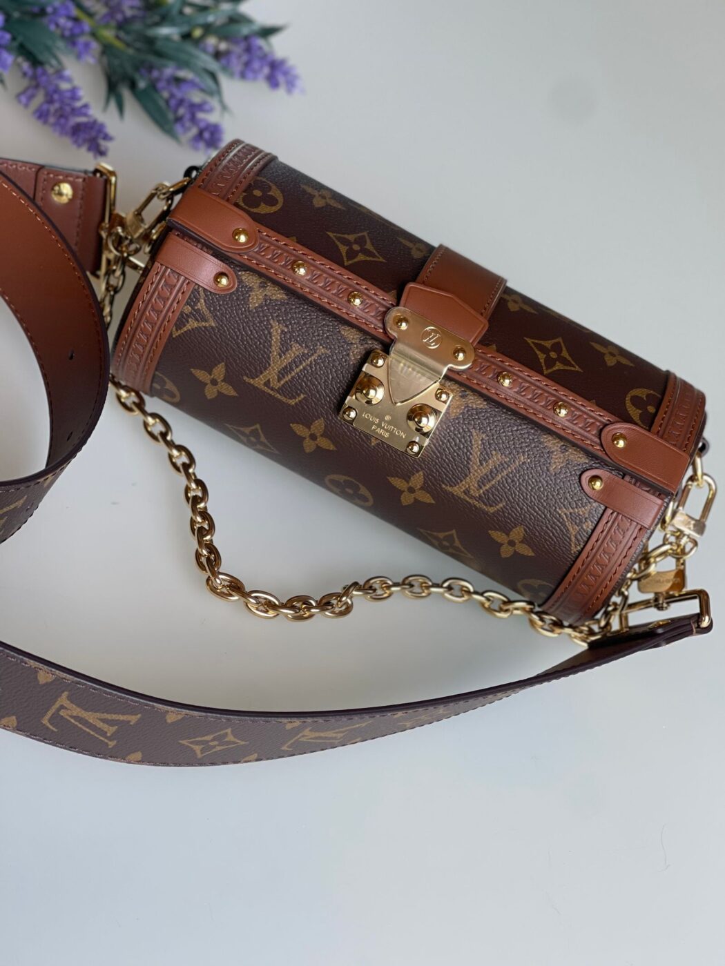 IMG_1910 Louis Vuitton Papillon Trunk - Image 1