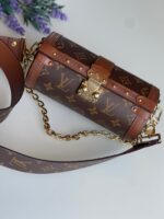 Louis Vuitton Papillon Trunk