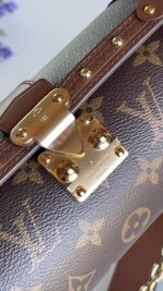 Louis Vuitton Papillon Trunk - Image 10