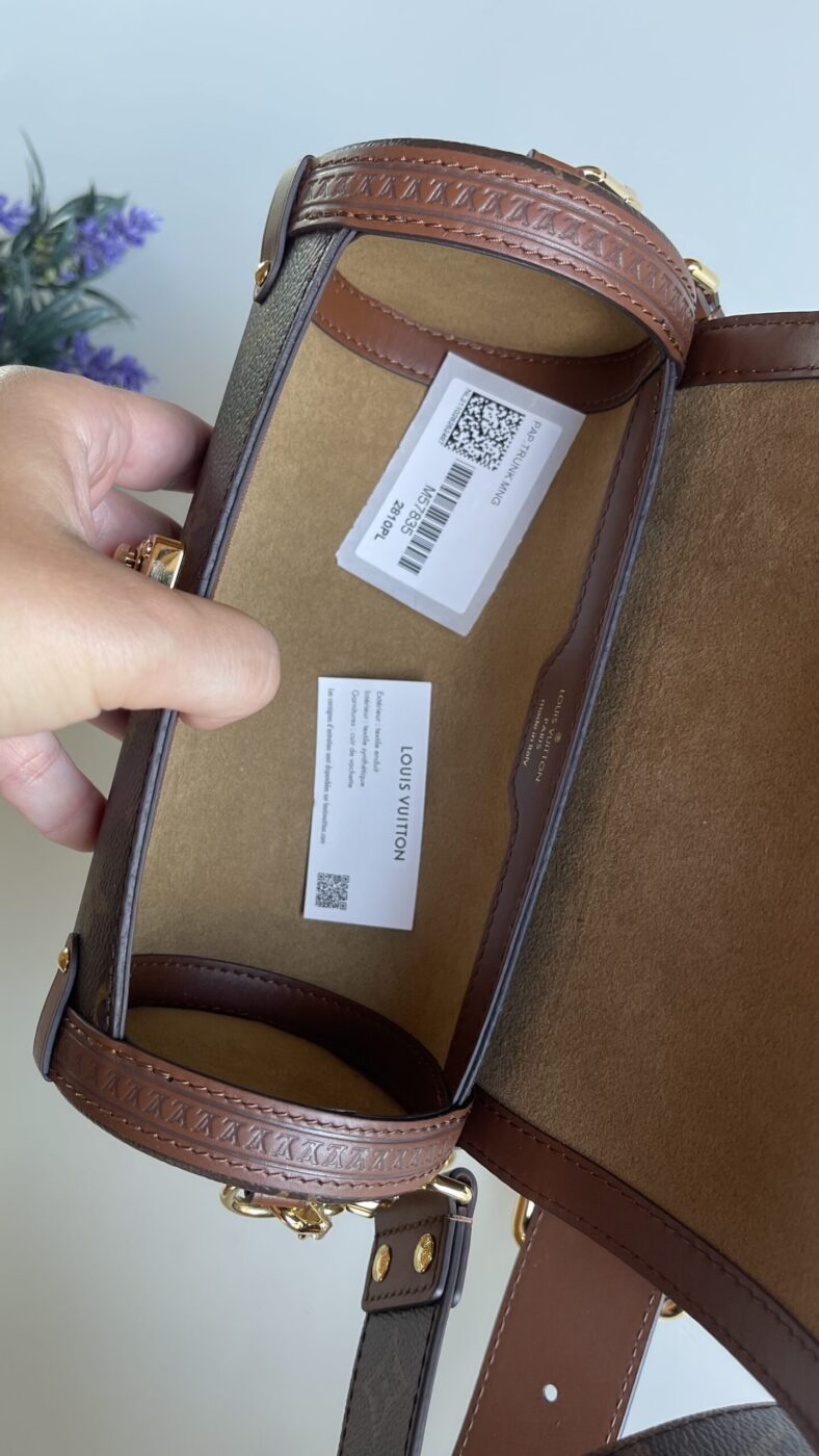 Louis Vuitton Papillon Trunk - Image 11