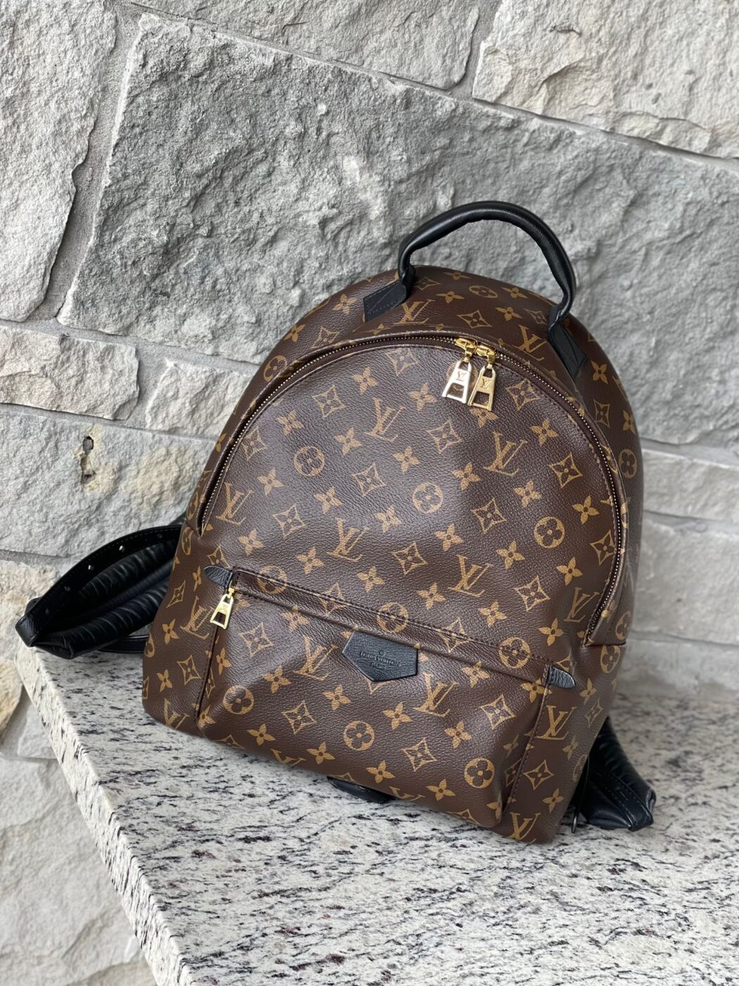IMG_2545 Louis Vuitton Palm Springs MM Monogram - Image 1