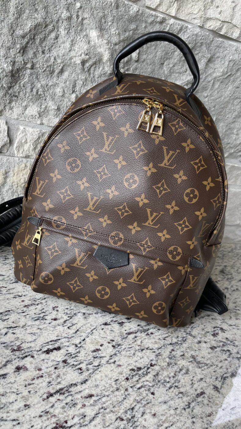 Louis Vuitton Palm Springs MM Monogram - Image 2