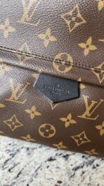 Louis Vuitton Palm Springs MM Monogram - Image 3