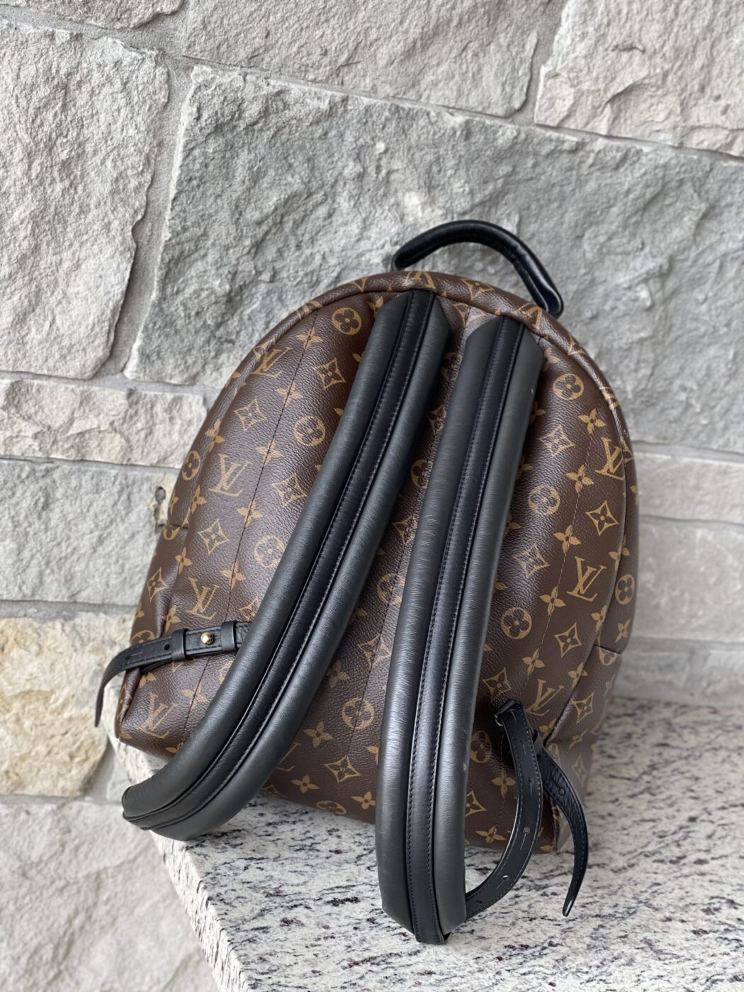 Louis Vuitton Palm Springs MM Monogram - Image 6