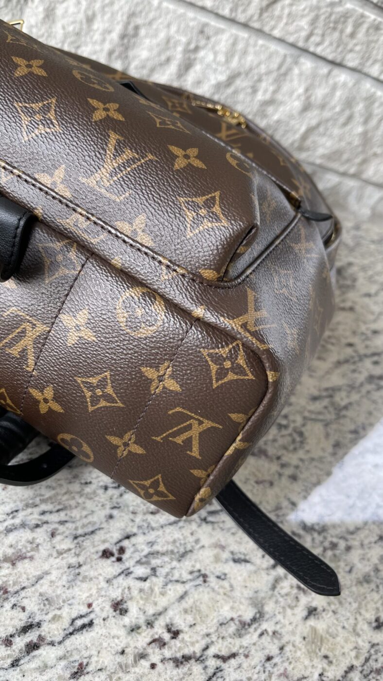 Louis Vuitton Palm Springs MM Monogram - Image 10
