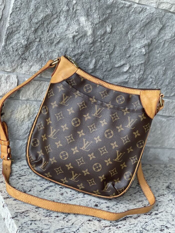 Louis Vuitton Odeon PM Crossbody - Image 1
