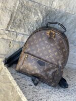 Louis Vuitton Palm Springs MM Monogram