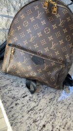 Louis Vuitton Palm Springs MM Monogram - Image 2