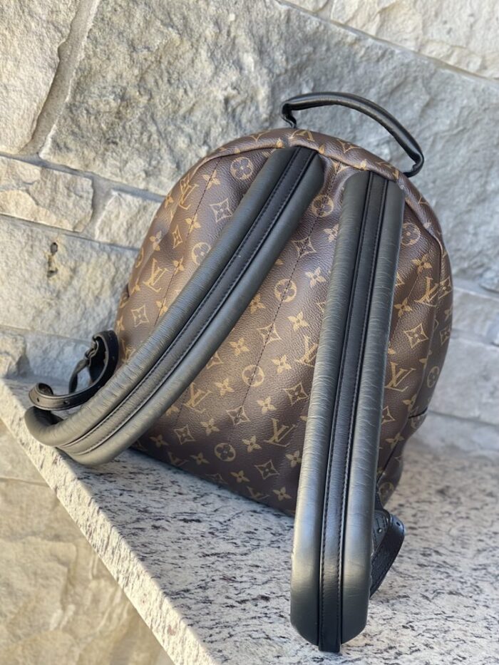 Louis Vuitton Palm Springs MM Monogram - Image 6