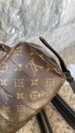 Louis Vuitton Palm Springs MM Monogram - Image 10
