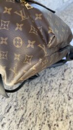 Louis Vuitton Palm Springs MM Monogram - Image 11