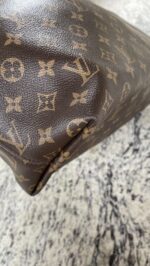 Louis Vuitton Graceful MM Monogram Pivoine - Image 12