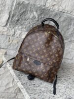 Louis Vuitton Palm Springs MM Monogram