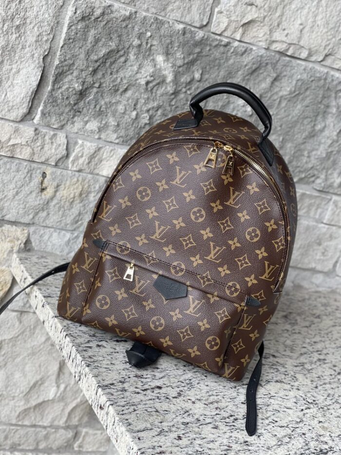 Louis Vuitton Palm Springs MM Monogram - Image 1