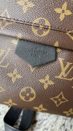 Louis Vuitton Palm Springs MM Monogram - Image 2
