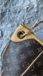 Louis Vuitton Galliera PM Monogram - Image 8