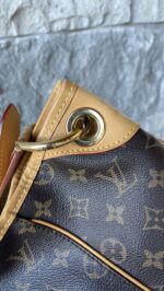 Louis Vuitton Galliera PM Monogram - Image 9
