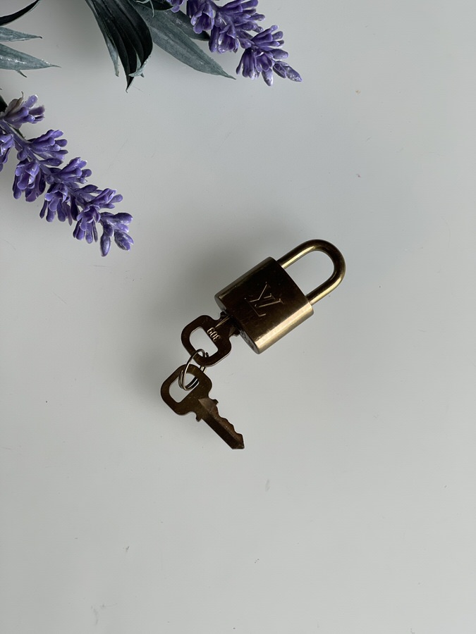 IMG_1522 2-1 Louis Vuitton Gold Lock And Keys - Image 1