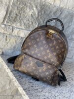 Louis Vuitton Palm Springs MM Monogram