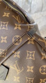 Louis Vuitton Palm Springs MM Monogram - Image 4