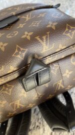 Louis Vuitton Palm Springs MM Monogram - Image 9
