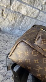Louis Vuitton Palm Springs MM Monogram - Image 12
