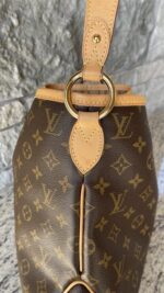 Louis Vuitton Delightful PM Monogram - Image 7