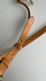 Louis Vuitton Odeon PM Monogram - Image 12