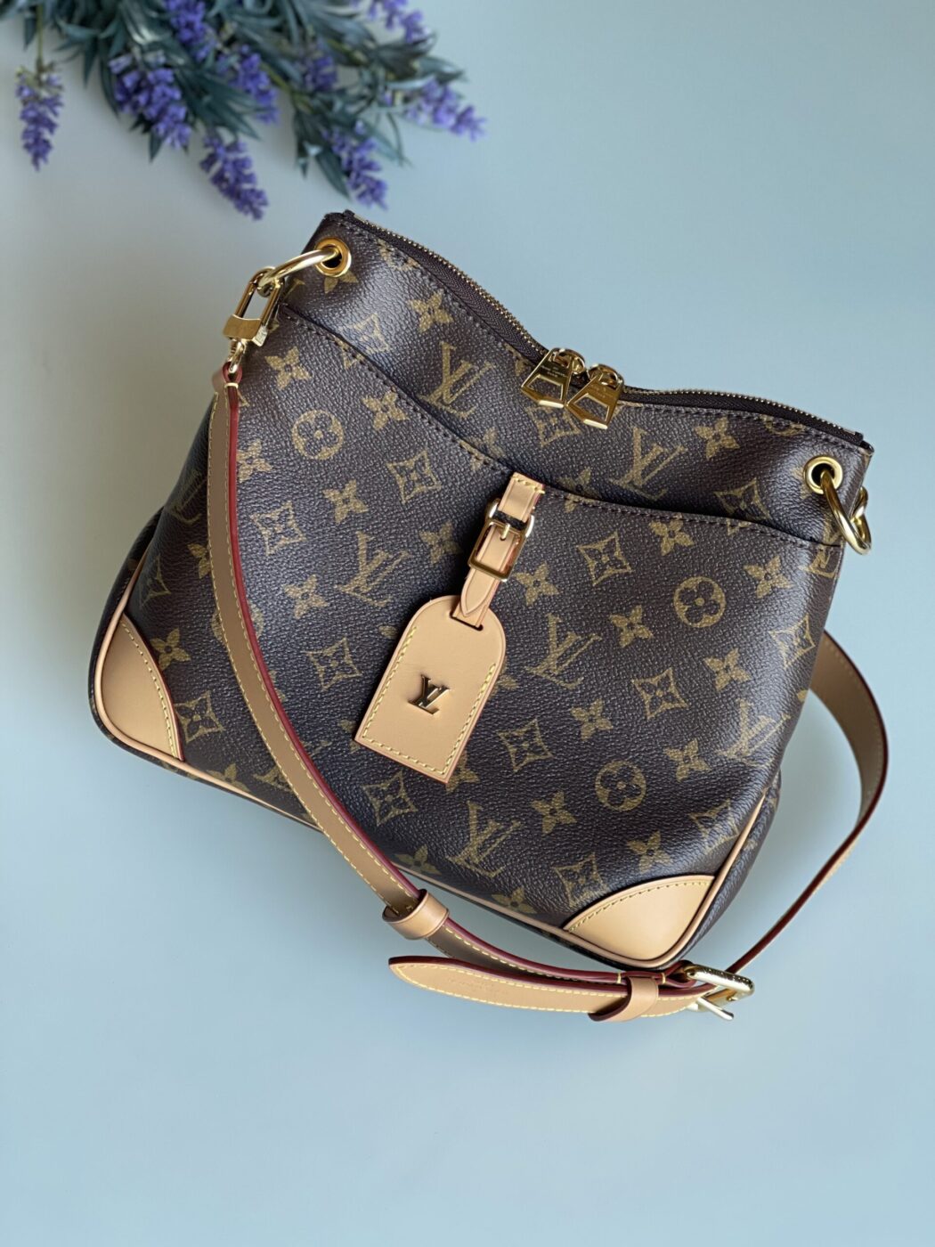 IMG_9893 Louis Vuitton Odeon PM - Image 1
