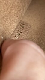 Louis Vuitton Daily Pouch Monogram Sesame - Image 8