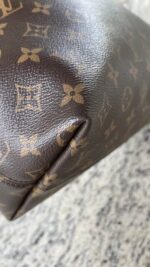 Louis Vuitton Graceful MM Monogram Beige - Image 13