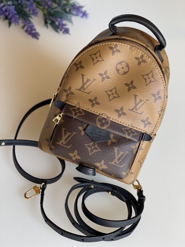 Louis Vuitton Palm Springs Mini Monogram Reverse