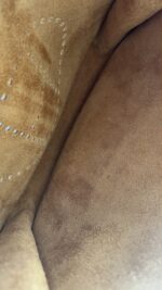 Hermes Evelyne PM Brown Gold Silver Hardware - Image 11