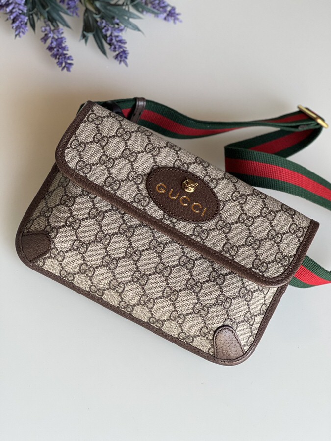 IMG_9035 Gucci GG Supreme Monogram Neo Vintage Web Belt Bag Brown - Image 1