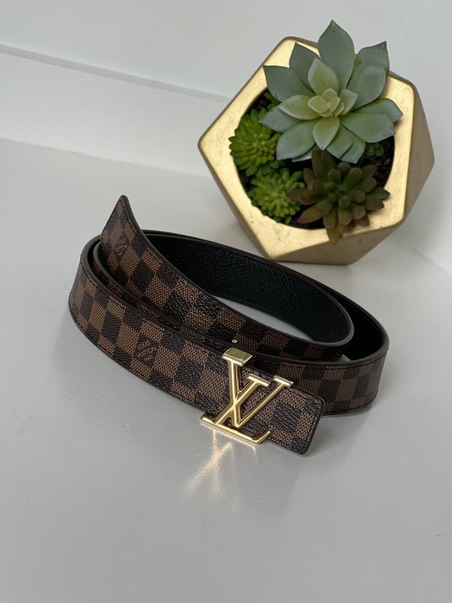 Louis Vuitton LV Iconic 25 mm Reversible Belt - LVLENKA  display picture 1