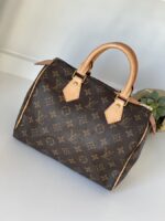 Louis Vuitton Speedy 25 Monogram