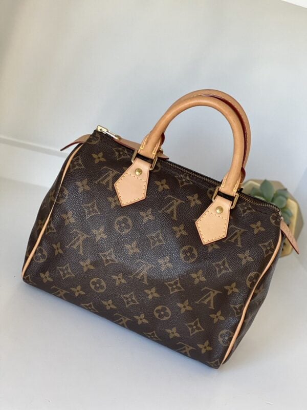 Louis Vuitton Speedy 25 Monogram - Image 7
