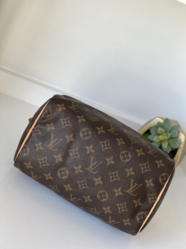 Louis Vuitton Speedy 25 Monogram - Image 10