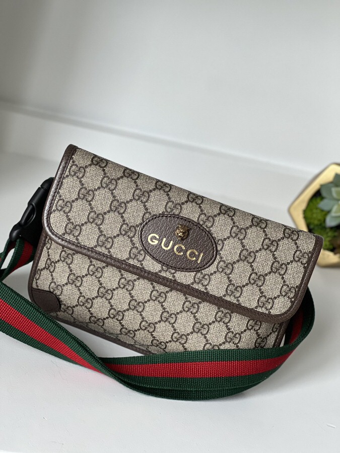 IMG_2813 Gucci GG Supreme Monogram Neo Vintage Web Belt Bag Brown - Image 1