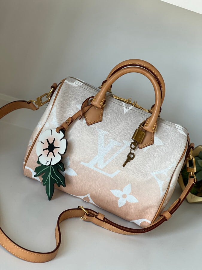 IMG_6338 Louis Vuitton Monogram Giant By The Pool Speedy Bandouliere 25 Brume - Image 1