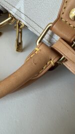 Louis Vuitton Monogram Giant By The Pool Speedy Bandouliere 25 Brume - Image 4