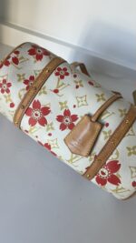 Louis Vuitton Cherry Blossom Papillon - Image 11