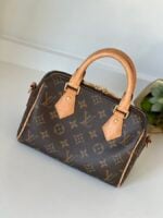 Louis Vuitton Speedy 20 Monogram