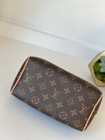 Louis Vuitton Speedy 20 Monogram - Image 18