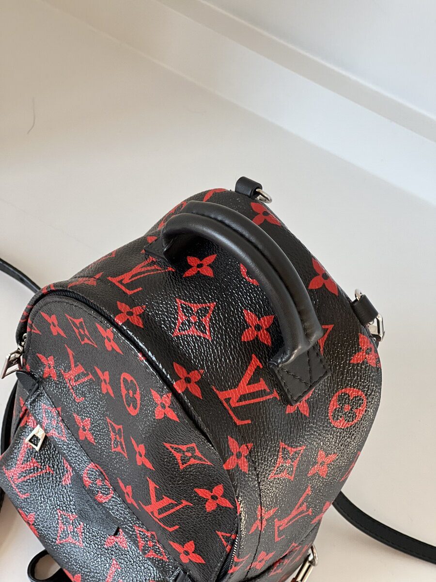 Louis Vuitton Palm Springs Mini Infrarouge - LVLENKA