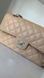 Chanel Classic Small Double Flap Beige Claire Caviar Leather Silver Hardware - Image 3