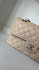 Chanel Classic Small Double Flap Beige Claire Caviar Leather Silver Hardware - Image 4