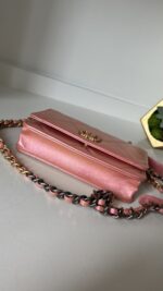 Chanel 19 Wallet On Chain WOC - Image 12