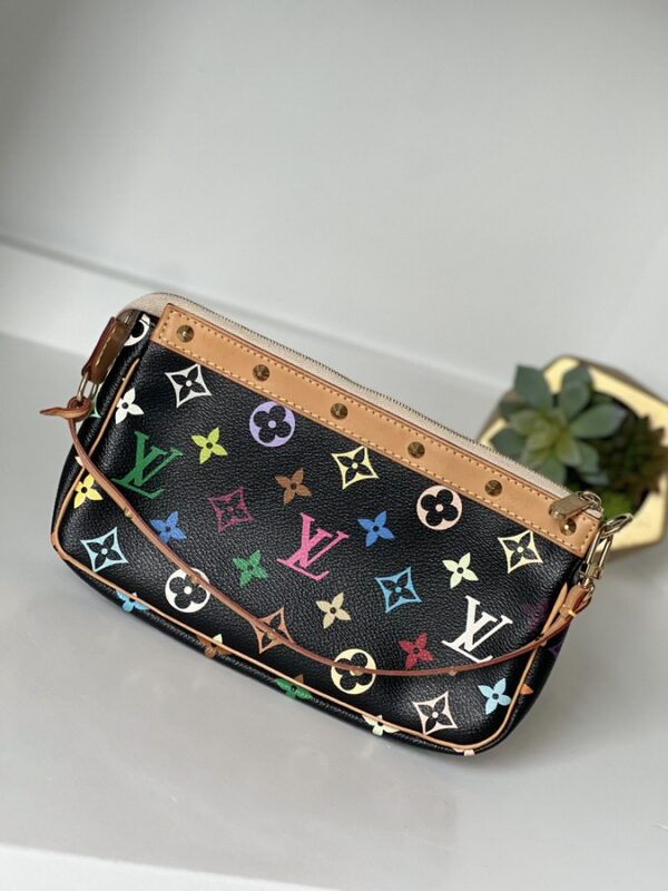Louis Vuitton Multicolor Pochette Accessories