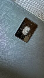 Chanel Extra Mini Coco Top Handle Iridescent Caviar Mermaid Hardware - Image 14